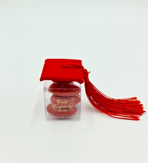 Cubino in pvc con cappellino laurea